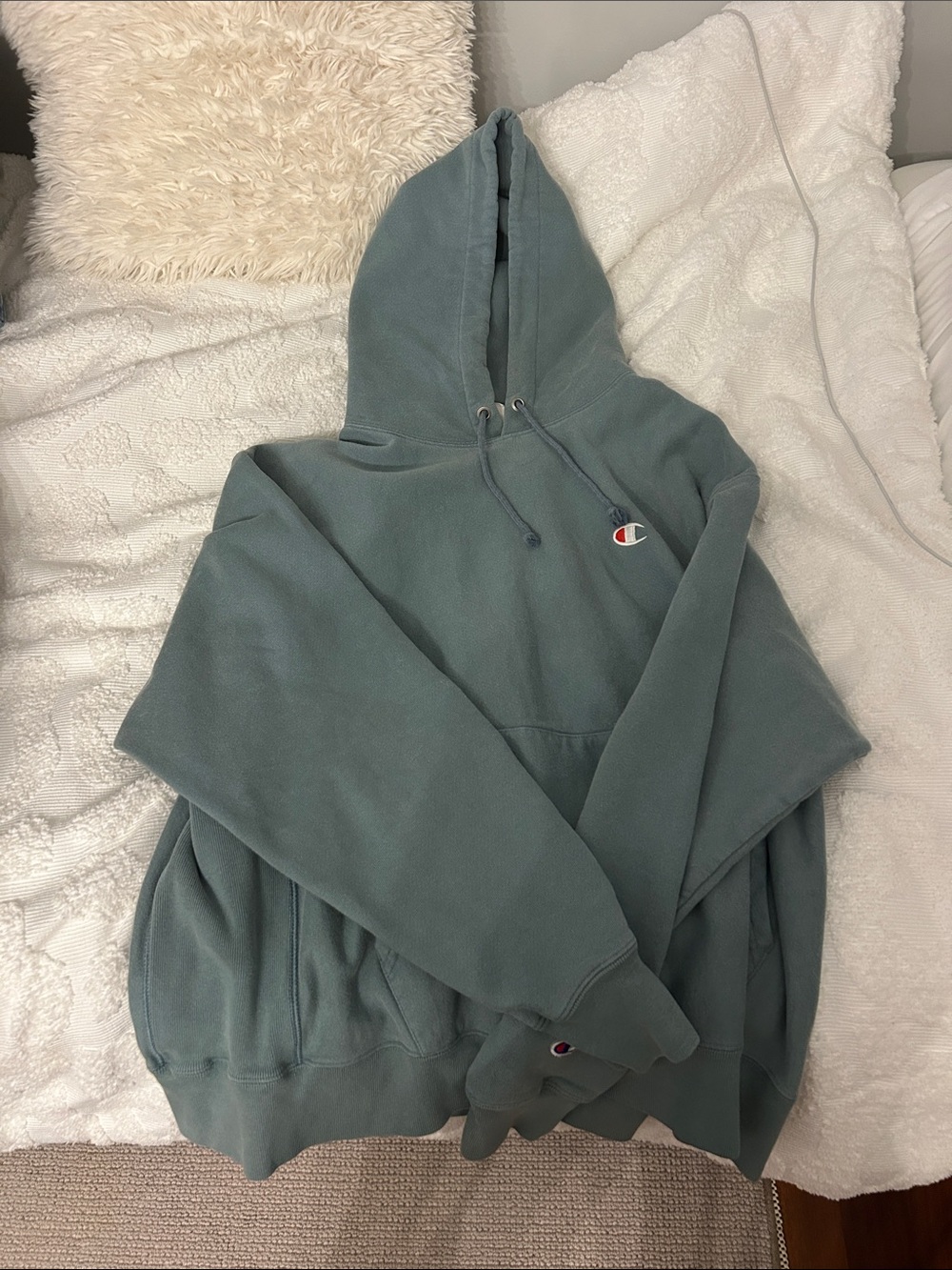 Champion Sage Green Pullover Hoodie